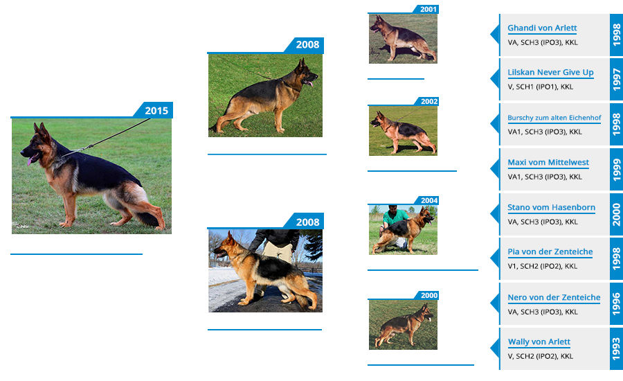 Breeding Females - Fanta vom Mittelwest - Pedigree