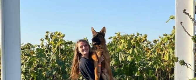 Effective Techniques To Prepare Your German Shepherd As A Family Protector