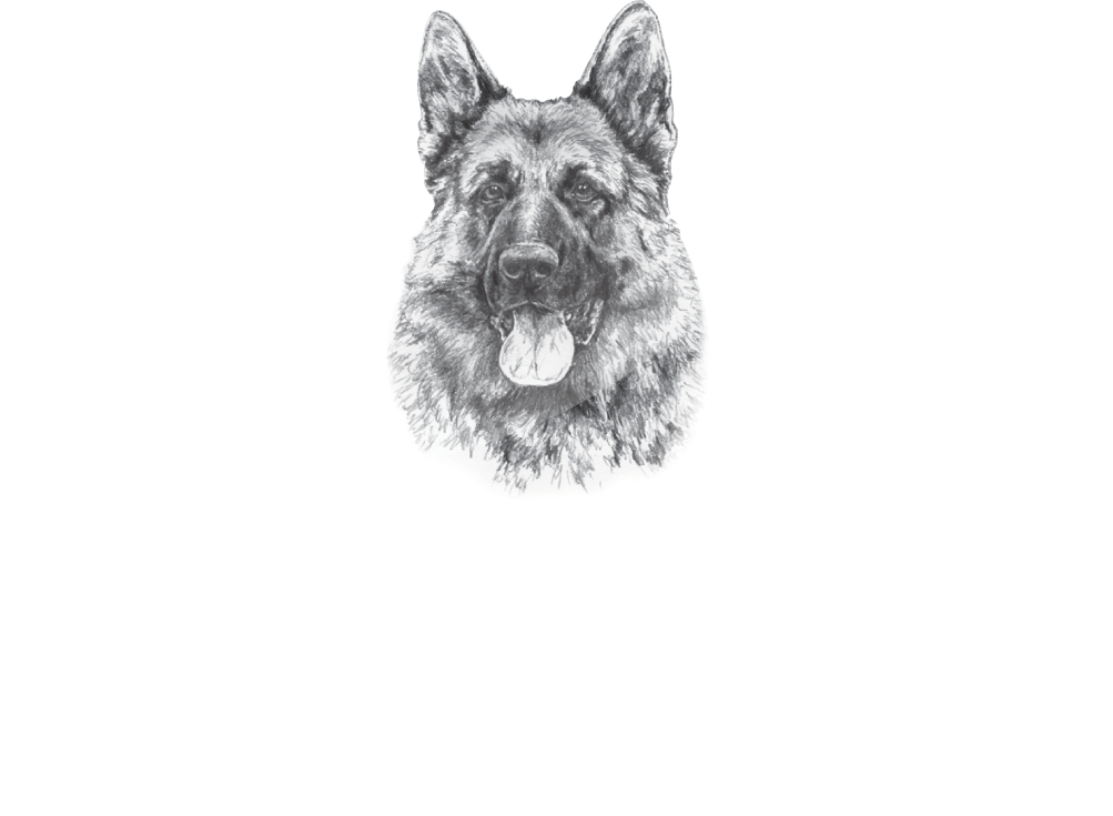 Best German Shepherd Breeder In The US | Mittelwest Logo