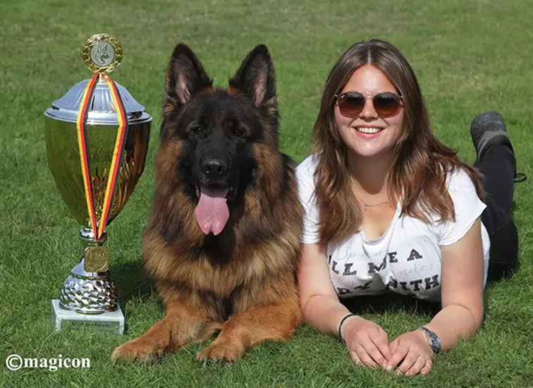 Wonder Lake Breeders Share Why Families Pick GSD As Guard Dogs