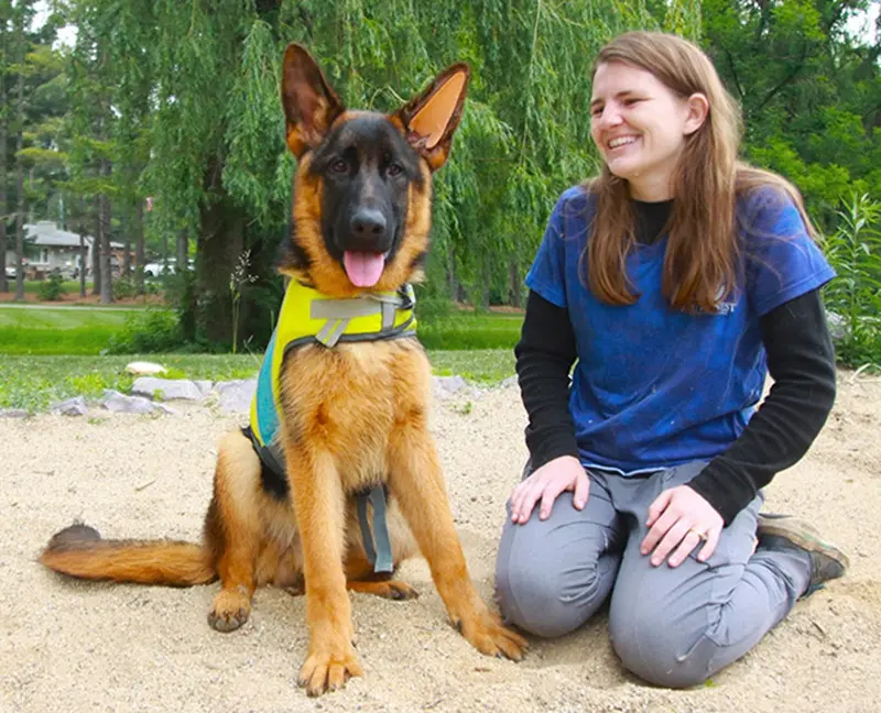 Early German Shepherd Health Concerns For Owners In Wonder Lake