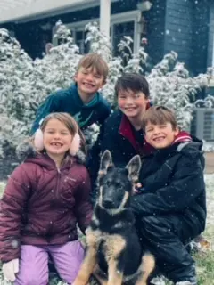 Considering A German Shepherd? Get The Facts