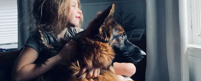 Protect Your German Shepherd’s Skin & Coat Before Problems Start Today