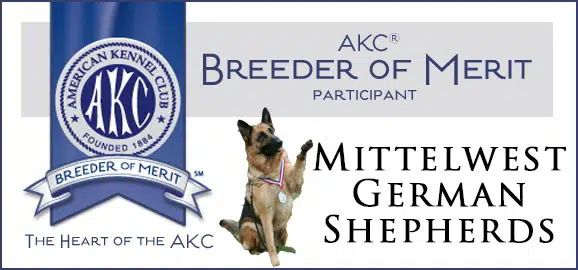 akc-breeder-of-merit-mittelwest-german-shepherds