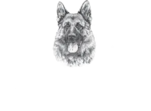 Best German Shepherd Breeder In The US | Mittelwest Logo